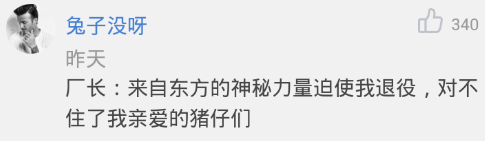 每日一瞎：玩家设计卡尔玛戒指 被杨丽萍设计师相中